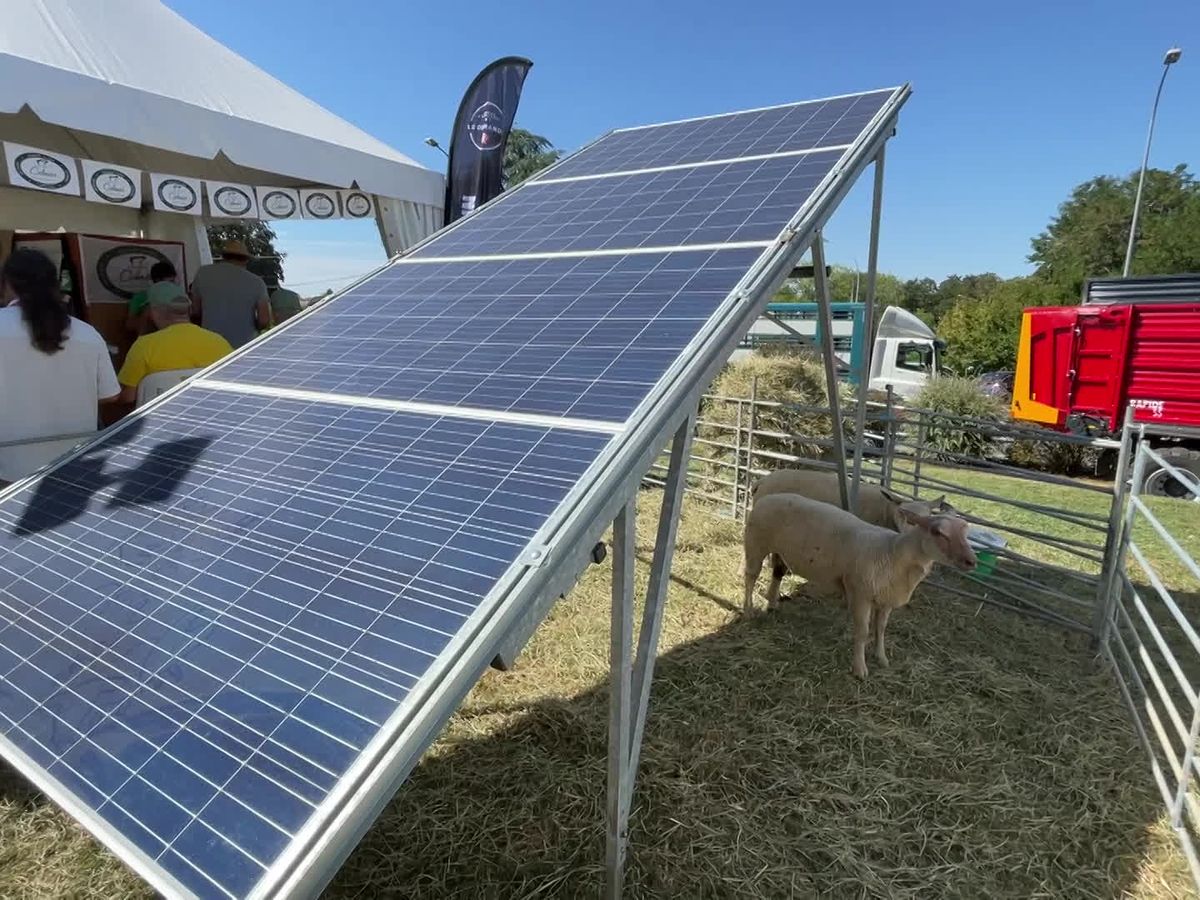 découvrez les inconvénients du photovoltaïque à metz. analyse des défis liés à l'installation de panneaux solaires, des coûts, des aspects techniques et des contraintes réglementaires, afin de vous aider à prendre une décision éclairée sur l'énergie solaire.