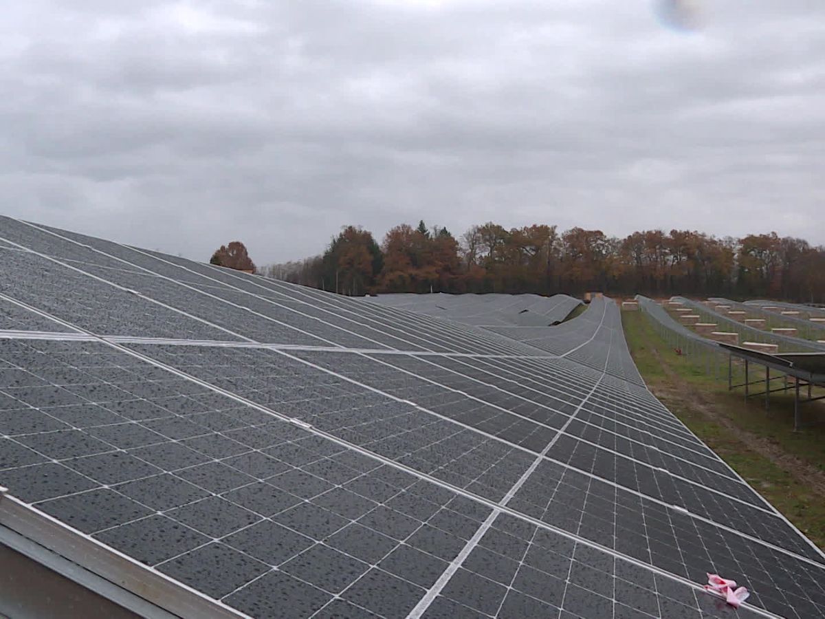 découvrez des solutions de panneaux solaires rentables à metz ! optimisez vos économies d'énergie tout en contribuant à l'environnement. profitez d'une installation de qualité et d'un retour sur investissement rapide.