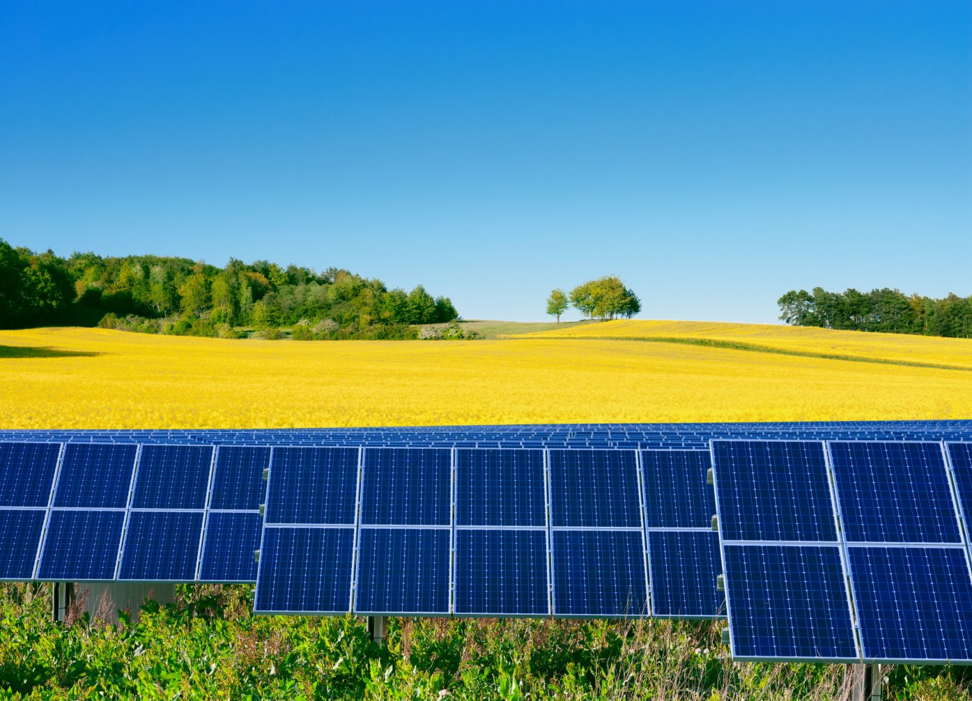 découvrez tout ce que vous devez savoir sur la taxe liée aux panneaux solaires : règles, exonérations possibles et impact sur votre investissement énergétique. informez-vous sur les démarches à suivre pour optimiser votre installation tout en respectant la législation en vigueur.